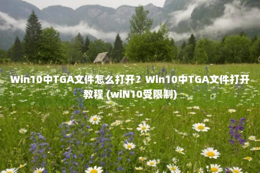 Win10中TGA文件怎么打开？Win10中TGA文件打开教程 (wiN10受限制)