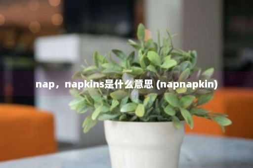 nap，napkins是什么意思 (napnapkin)