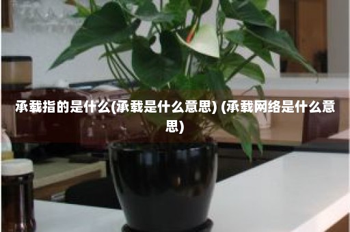 承载指的是什么(承载是什么意思) (承载网络是什么意思)