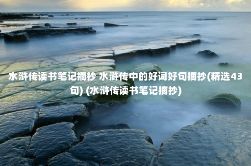 水浒传读书笔记摘抄 水浒传中的好词好句摘抄(精选43句) (水浒传读书笔记摘抄)