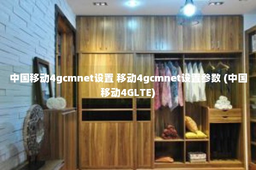 中国移动4gcmnet设置 移动4gcmnet设置参数 (中国移动4GLTE)