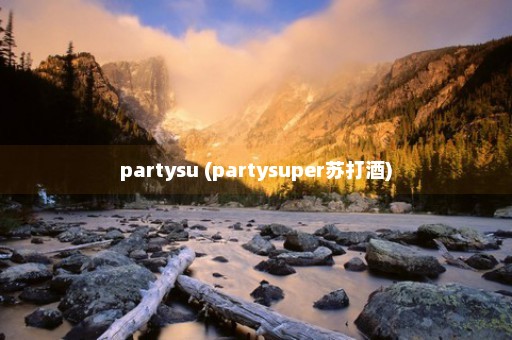 partysu (partysuper苏打酒)