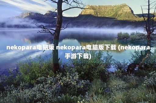 nekopara电脑版 nekopara电脑版下载 (nekopara手游下载)