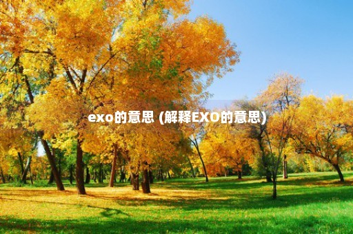 exo的意思 (解释EXO的意思)