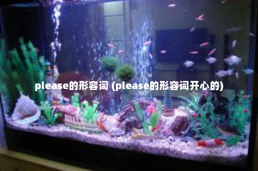 please的形容词 (please的形容词开心的)