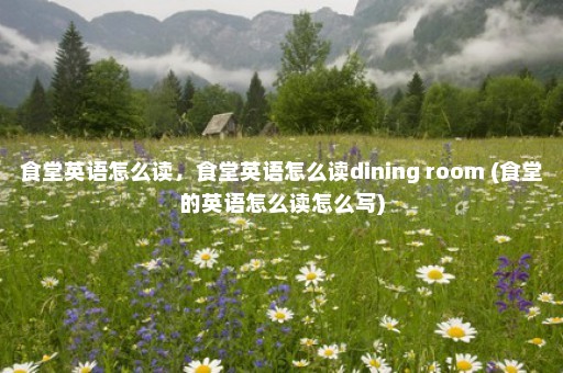 食堂英语怎么读，食堂英语怎么读dining room (食堂的英语怎么读怎么写)