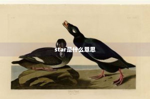 star是什么意思