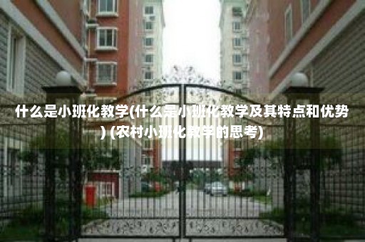 什么是小班化教学(什么是小班化教学及其特点和优势) (农村小班化教学的思考)