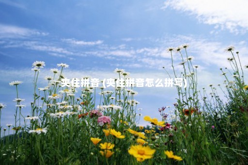 夹住拼音 (夹住拼音怎么拼写)