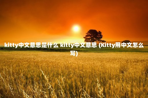 kitty中文意思是什么 kitty中文意思 (Kitty用中文怎么写)