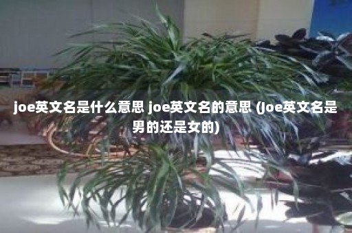 joe英文名是什么意思 joe英文名的意思 (Joe英文名是男的还是女的)