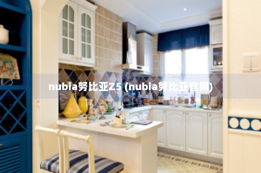 nubia努比亚Z5 (nubia努比亚官网)