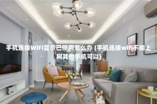 手机连接WiFi显示已停用怎么办 (手机连接wifi不能上网其他手机可以)