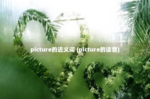 picture的近义词 (picture的读音)