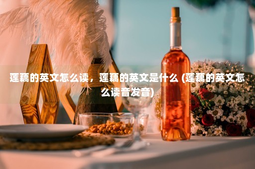 莲藕的英文怎么读，莲藕的英文是什么 (莲藕的英文怎么读音发音)