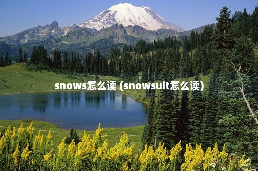 snows怎么读 (snowsuit怎么读)