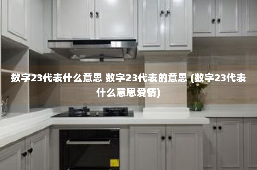 数字23代表什么意思 数字23代表的意思 (数字23代表什么意思爱情)