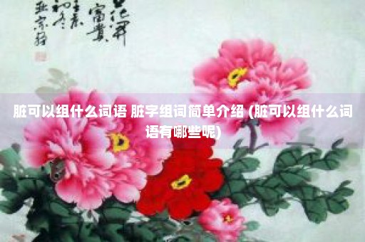 脏可以组什么词语 脏字组词简单介绍 (脏可以组什么词语有哪些呢)