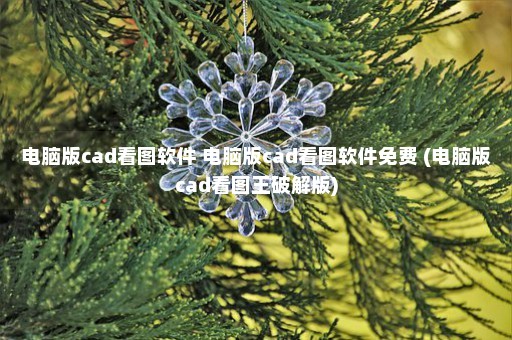 电脑版cad看图软件 电脑版cad看图软件免费 (电脑版cad看图王破解版)