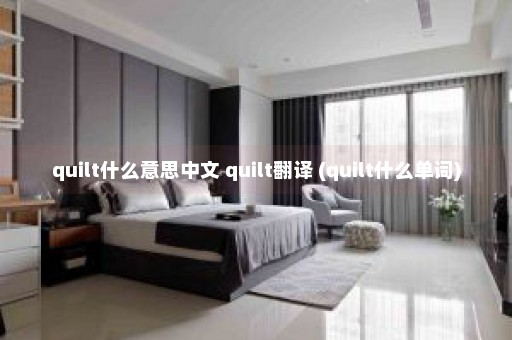 quilt什么意思中文 quilt翻译 (quilt什么单词)