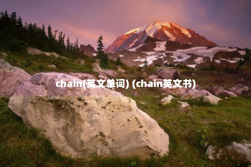 chain(英文单词) (chain英文书)