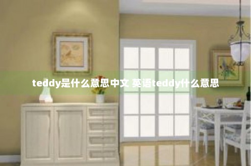 teddy是什么意思中文 英语teddy什么意思