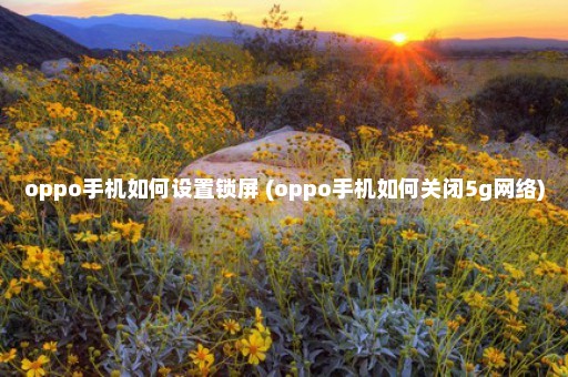 oppo手机如何设置锁屏 (oppo手机如何关闭5g网络)