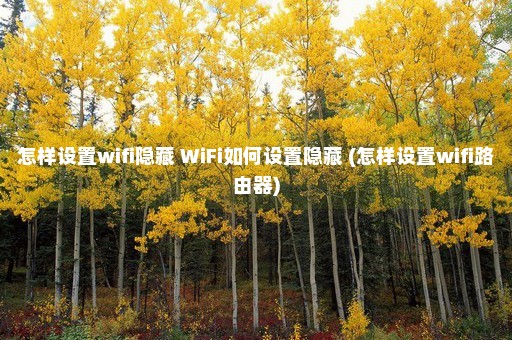 怎样设置wifi隐藏 WiFi如何设置隐藏 (怎样设置wifi路由器)