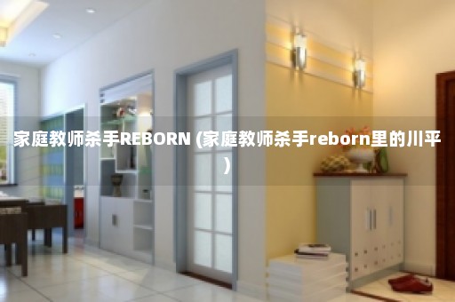 家庭教师杀手REBORN (家庭教师杀手reborn里的川平)