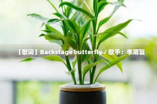 【歌词】Backstage butterfly / 歌手：李雨寰