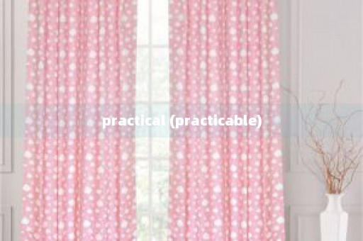 practical (practicable)