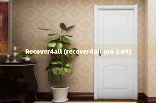 Recover4all (recover4all pro 2.09)