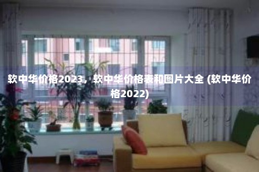 软中华价格2023，软中华价格表和图片大全 (软中华价格2022)