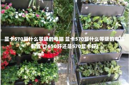 显卡570算什么等级的电脑 显卡570算什么等级的电脑配置 (1650好还是570显卡好)