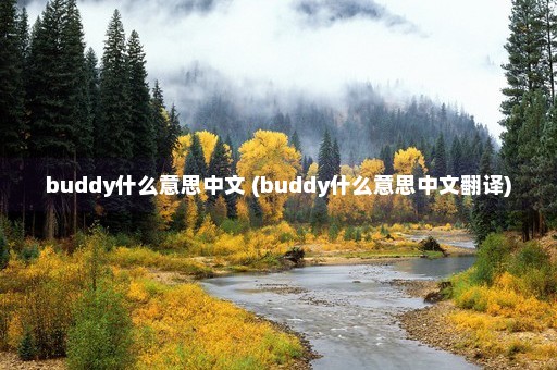 buddy什么意思中文 (buddy什么意思中文翻译)