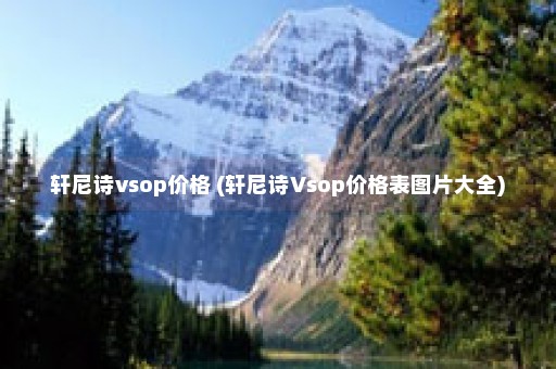 轩尼诗vsop价格 (轩尼诗Vsop价格表图片大全)