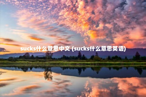 sucks什么意思中文 (sucks什么意思英语)