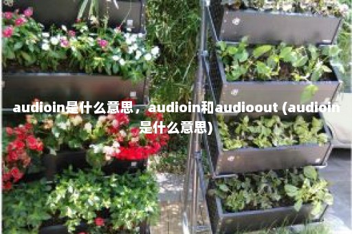 audioin是什么意思，audioin和audioout (audioin是什么意思)