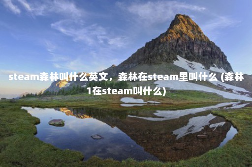 steam森林叫什么英文，森林在steam里叫什么 (森林1在steam叫什么)