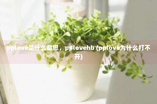 pplove是什么意思，pplovehb (pplove为什么打不开)