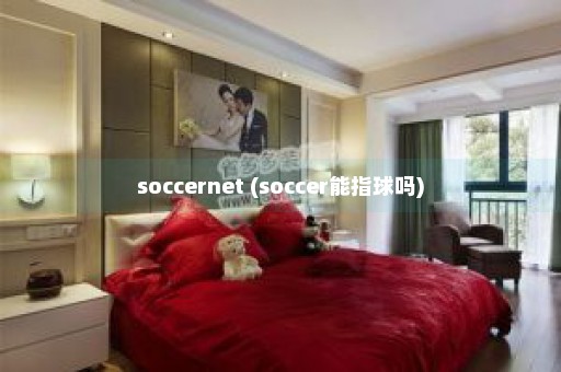 soccernet (soccer能指球吗)