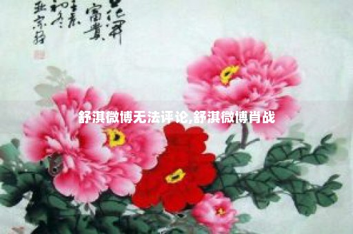 舒淇微博无法评论,舒淇微博肖战