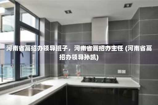 河南省高招办领导班子，河南省高招办主任 (河南省高招办领导孙凯)