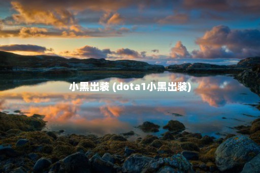 小黑出装 (dota1小黑出装)