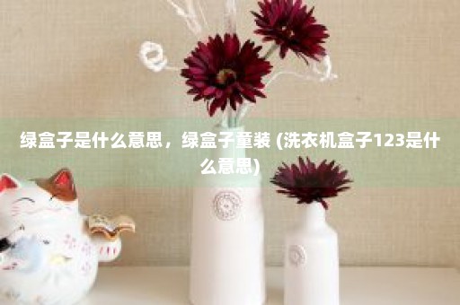 绿盒子是什么意思，绿盒子童装 (洗衣机盒子123是什么意思)