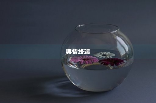 舆情终端