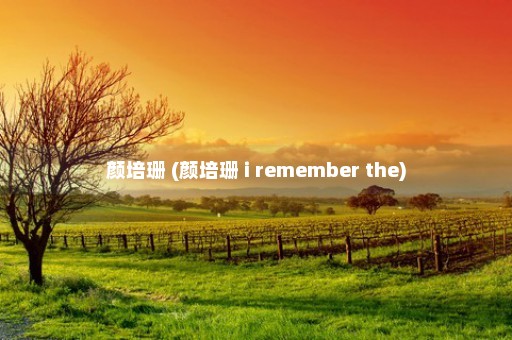 颜培珊 (颜培珊 i remember the)