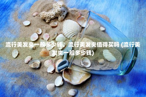 流行美发夹一般多少钱，流行美发夹值得买吗 (流行美发夹一般多少钱)