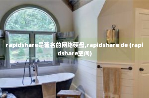 rapidshare是著名的网络硬盘,rapidshare de (rapidshare空间)