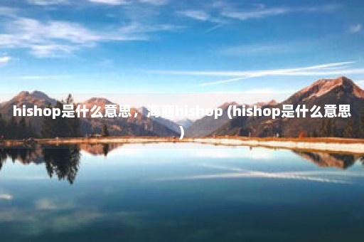 hishop是什么意思，海商hishop (hishop是什么意思)